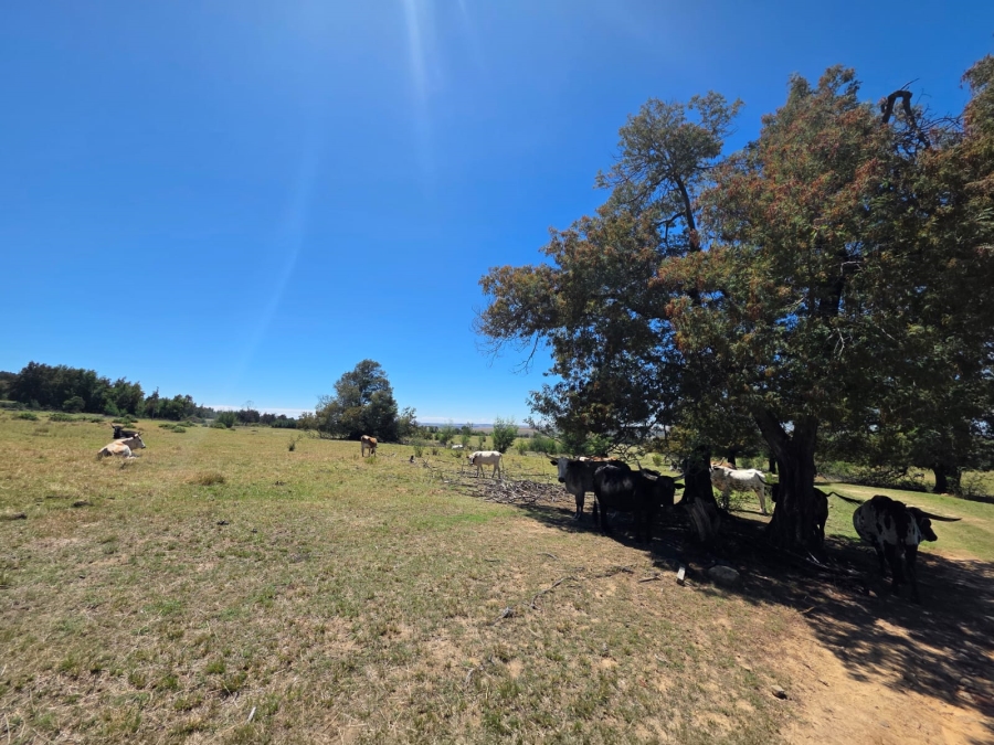 8 Bedroom Property for Sale in Bethlehem Rural Free State